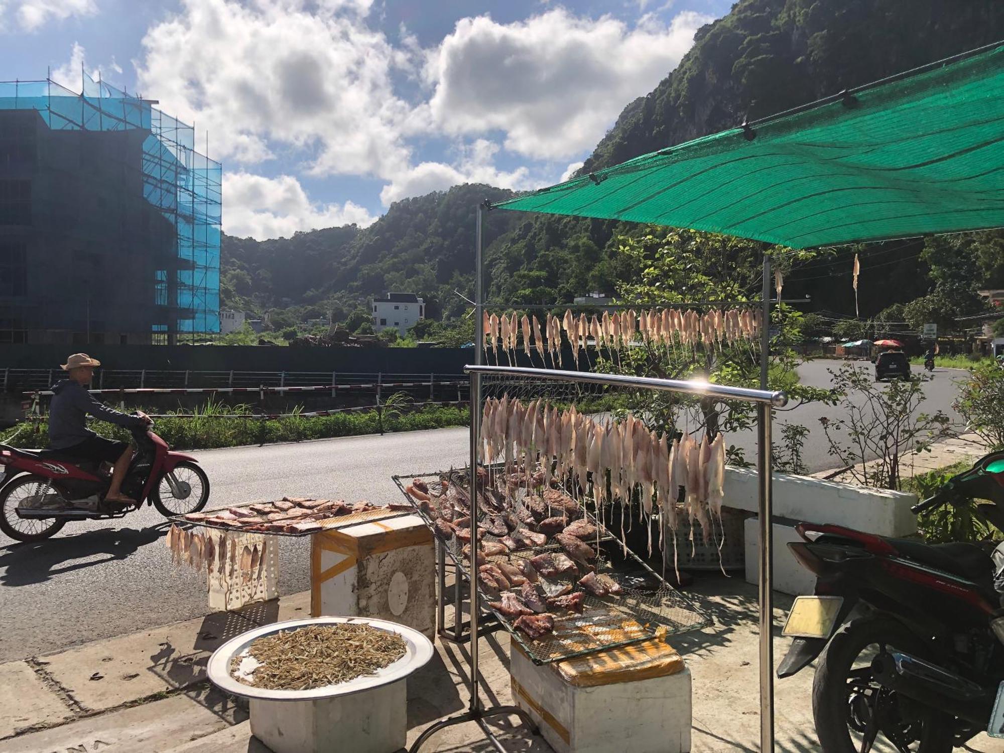 Huong Quynh Homestay ハイフォン エクステリア 写真